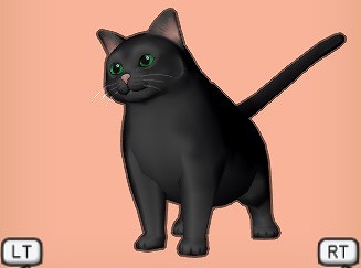 ドラクエ10黒太猫