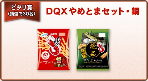 DQXやめとまセット・銅