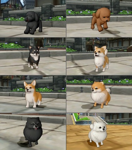 小型犬ついてクン