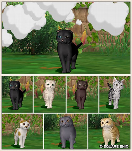 へんげの杖猫2