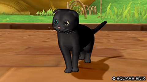 たれ黒猫オッド
