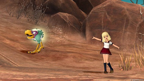 アカイライ・異